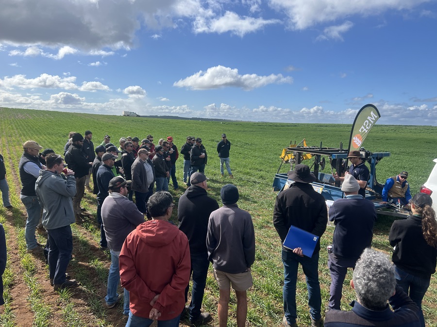 MSF Bowhill Crop Walk 2024