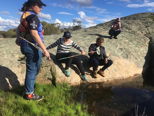 People clearing algae from water