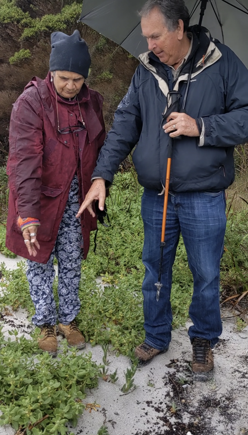 Two people pointing at plants on the ground