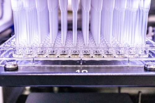 Pipettes drop liquid into a gel