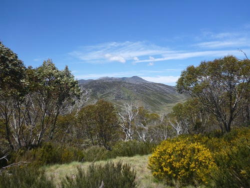 Landscape view of the Snowy Mountains, NSW