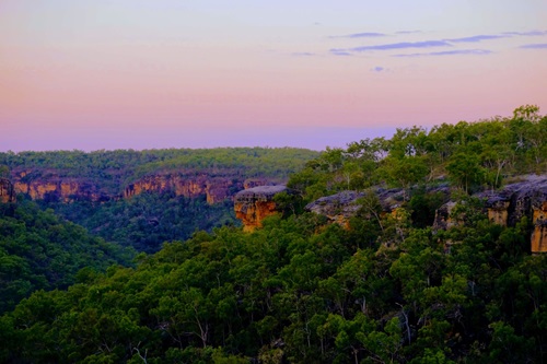 A pink sunrise over a mountain range on Western Yalanji country