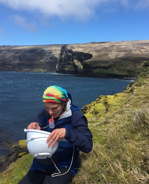 Scientist sits on a grassy cliff above the sea with a bowl containing bugs