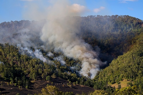 Billowing smoke coming out of a bush landscape from fire