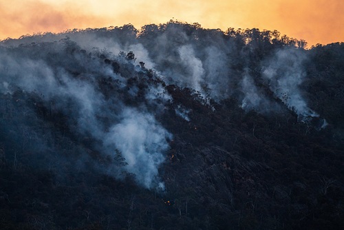 landscape view of bush with bushfire smoke entering the atmosphere