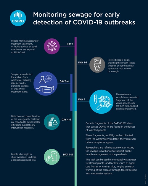 Infographic shows progress of SARS-CoV-2 through wastewater