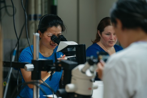 Participants aboard a research vessel work in a laboratory, using microscopes to examine marine samples. Several microscopes and scientific instruments are visible, with researchers seated and standing around a workbench in an indoor shipboard laboratory.