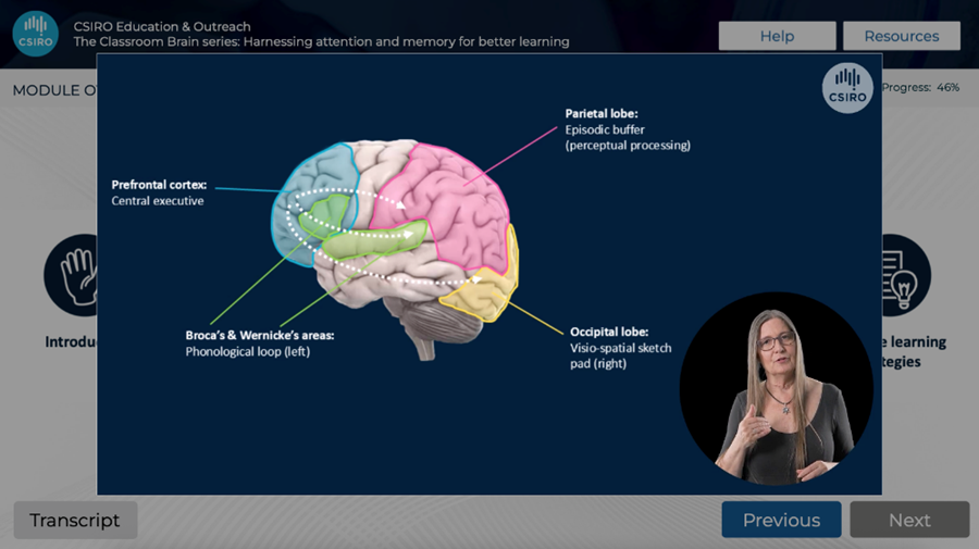 Dana Bradford teaching about the brain, with a diagram of a brain on screen. 