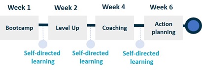 Image shows a linear overview of the session schedule. It runs from left to right. Reading from the left the boxes read Week 1 Bootcamp, Week 2 Level Up, Week 4 Coaching, Week 6 Action planning. Between each boxes is marked self-directed learning.