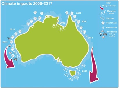 Map of Australia highlighting the impacts of climate change from 2006-2017 including mangrove deaths, kelp loss, coral bleach, seagrass loss, invertebrate fishery decline