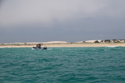 Researchers  in a boat search for juvenile white sharks off the coast of Port Stephens, NSW 