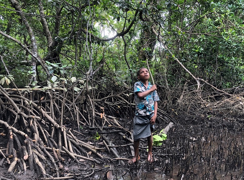 Boy standing in mangrove swamp