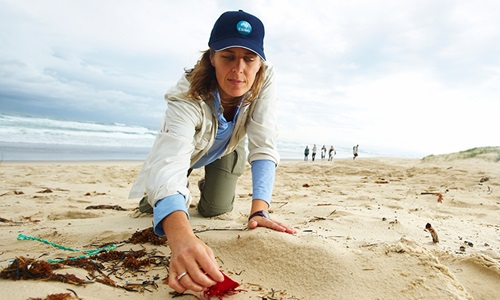 Researcher kneeling on beach picking up a piece of marine debris