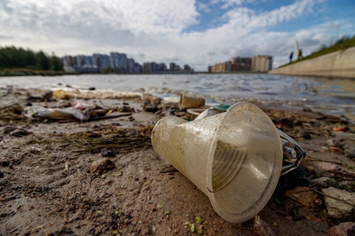 plastic cup lying in the sand on a beach