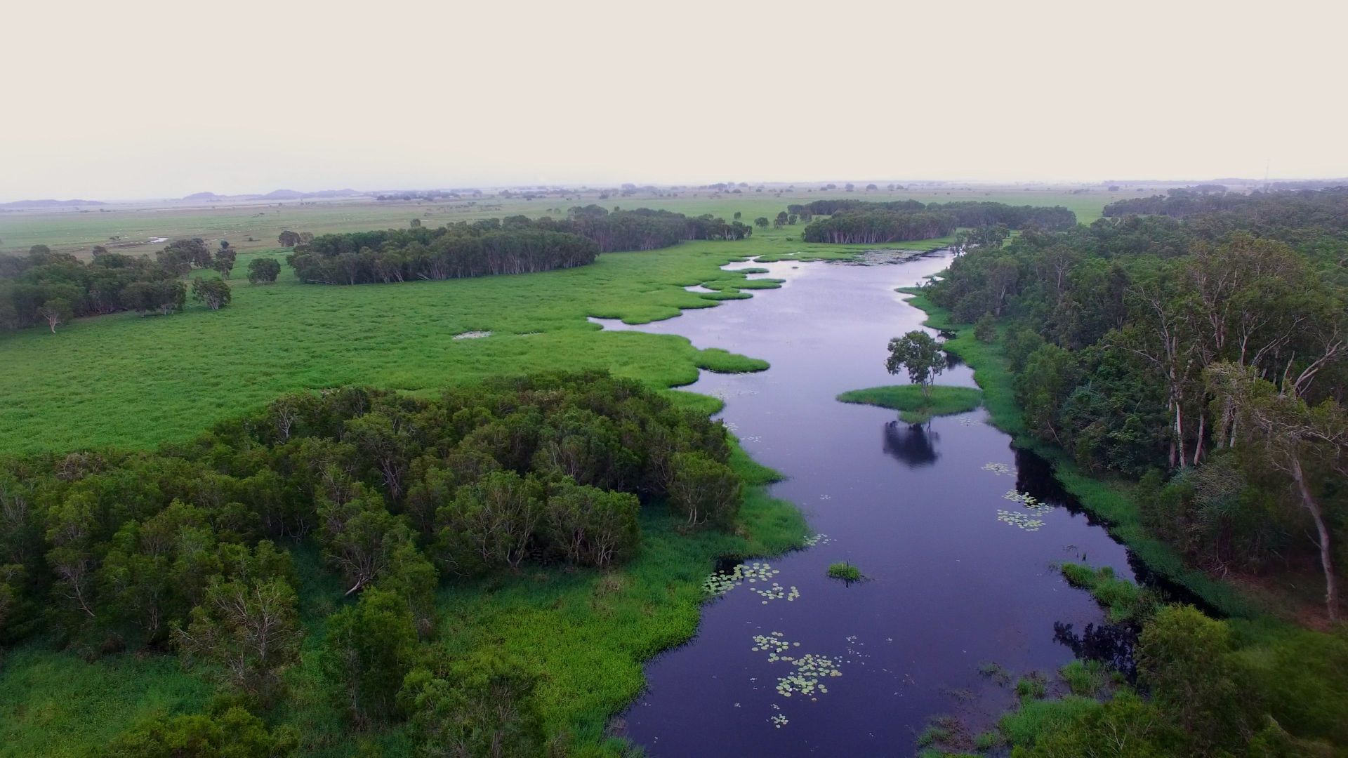 An overhead shot of wetlands with blue water and green trees