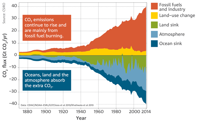 Chart: Annual fluxes of CO2 and their changing sources (fossil fuels and industry, land-use change, land sink, astmosphere, ocean sink). CO2 emissions continue to rise and are mainly from fossil fuel burning.  Oceans, land and the atmosphere absorb the extra CO2.