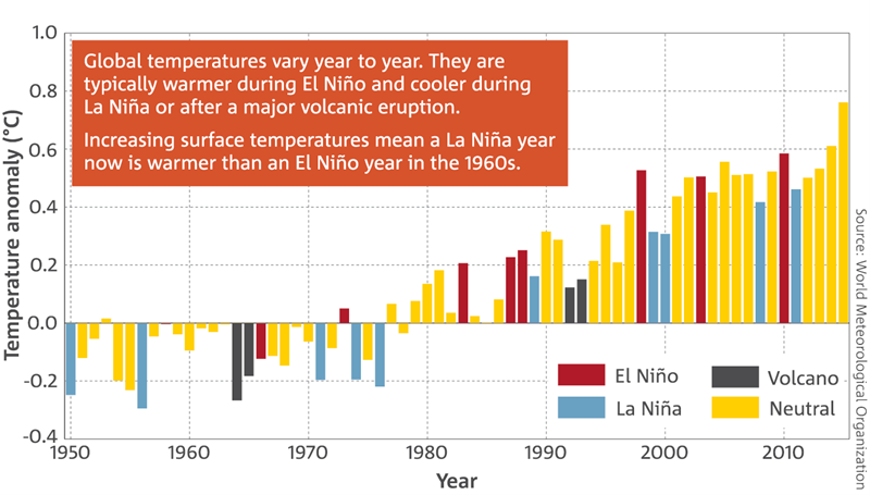 Bar chart: Global surface temperature anomalies of the Earth (land and ocean) for 1950–2015. Global temperatures vary year to year. They are typically warmer during El Niño and cooler during La Niña or after a major volcanic eruption.   Increasing surface temperatures mean a La Niña year now is warmer than an El Niño year in the 1960s.