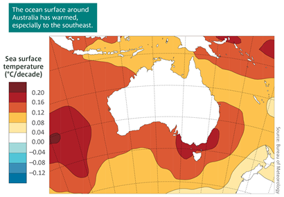 A map showing trends in sea surface temperatures in the Australian region from 1950 to 2017.