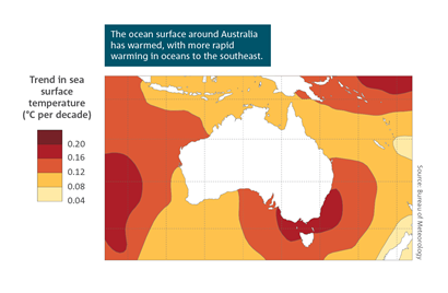 The ocean surface around Australia has warmed, with more rapid warming in oceans to the southeast.  Spatial map of Australian region, which shows trends in mean annual sea surface temperatures from 1950 to 2019.  The highest temperature change (0.2) appears in the Tasman Sea, and to the east coast of NSW.   For a full description of this figure please contact: helpdesk.climate@bom.gov.au