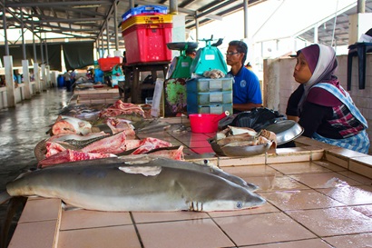 FIsh on a bench being sold at a market