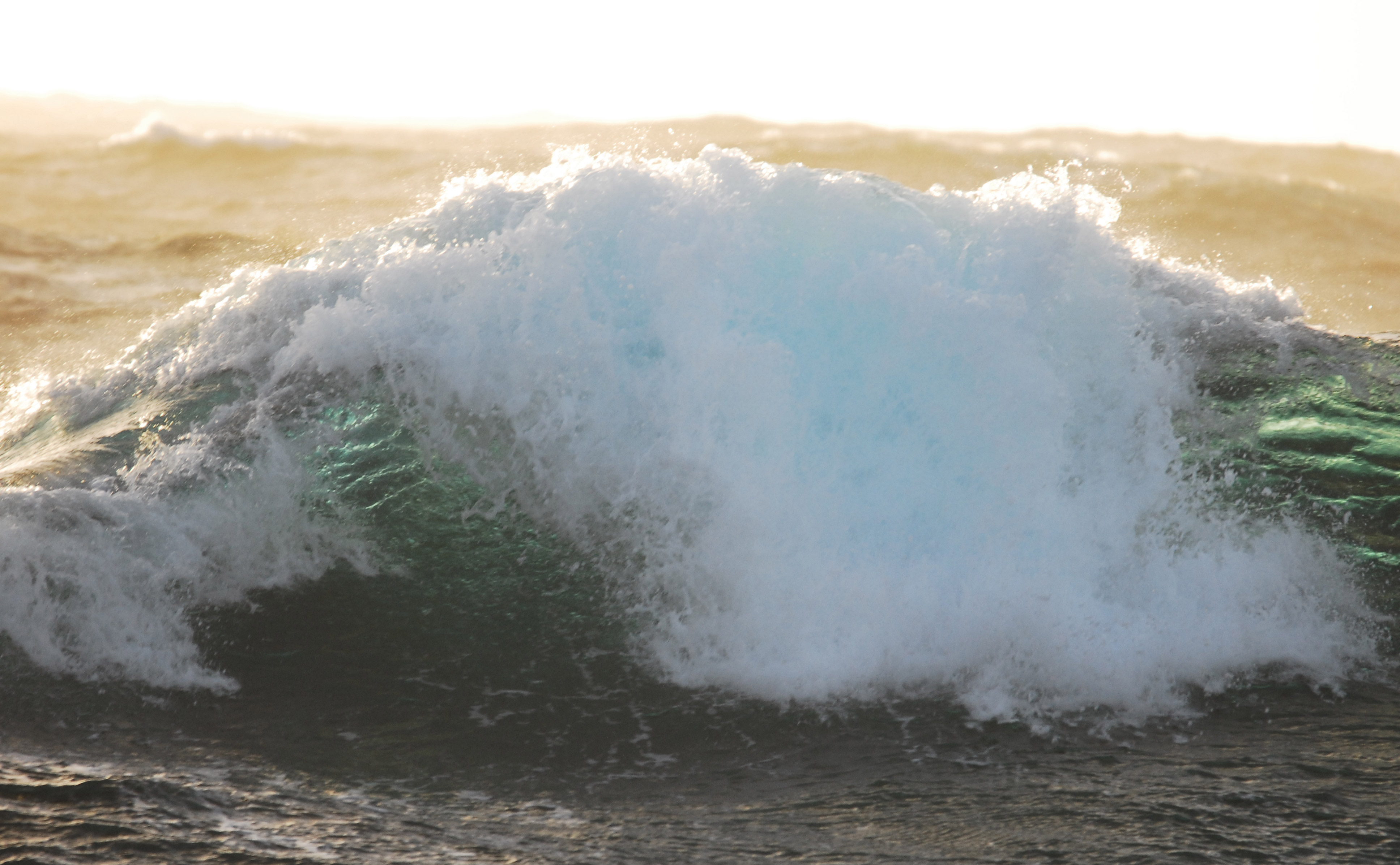 Breaking wave in the ocean.