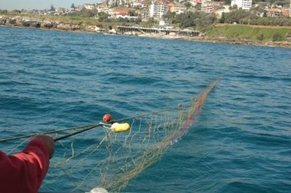 Person holding a shark net in the water