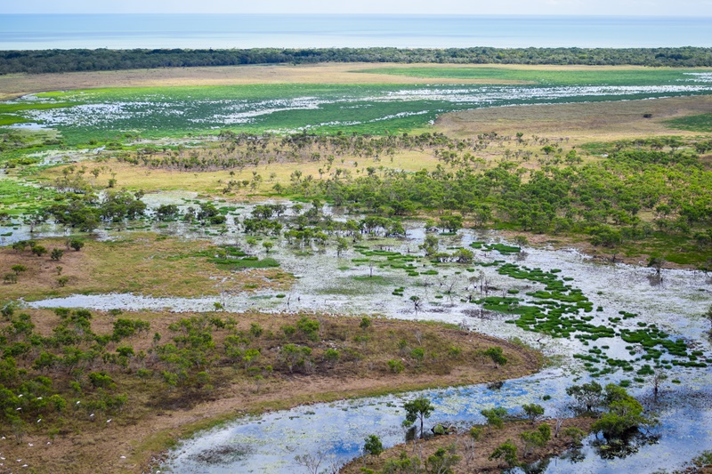 High angle view of a beautiful wetlands area.
