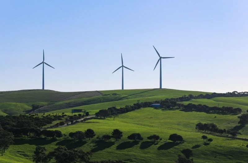 Starfish Hill Wind Farm in South Australia.