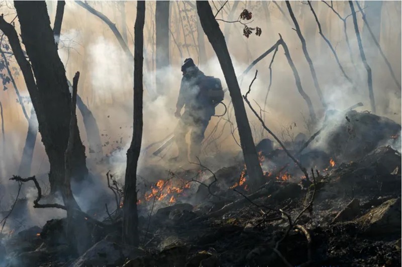 A fireman walking through burnt and smoky bushland with small flames still alight. 
