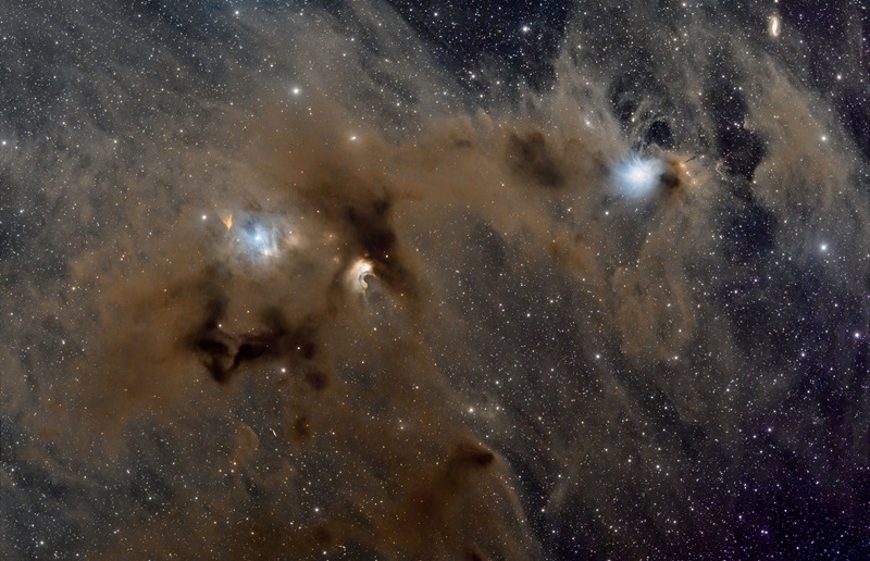 Chamaeleon Molecular Cloud