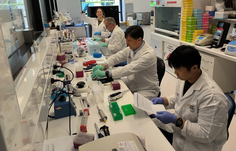 A row of scientists working at a long bench preparing biological samples for Revio sequencer