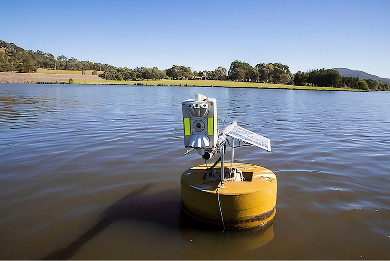 Water sensor mounted on a buoy at Lake Tuggeranong in Canberra.