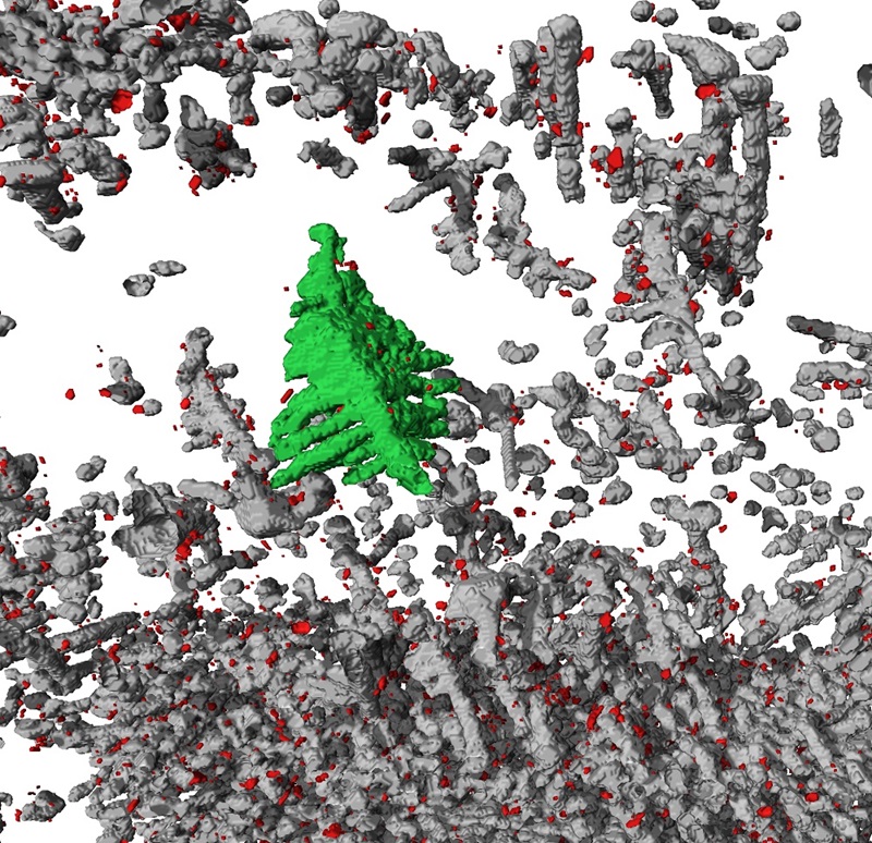 Green Christmas tree shape traced over 3d digital trace of a chromite mineral