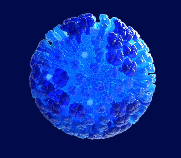 A 3D computer-generated rendering of a whole influenza (flu) virus in semi-transparent blue with a dark blue background. Image is from the Centers for Disease Control and Prevention.