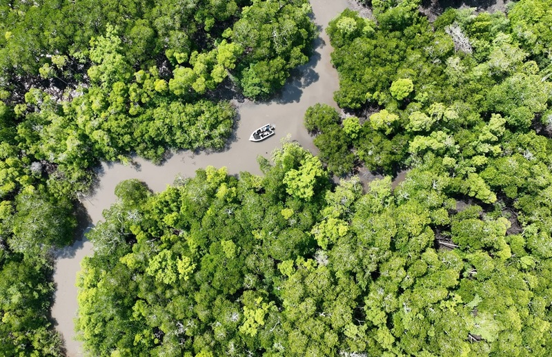 A waterway in the Tiwi Islands.