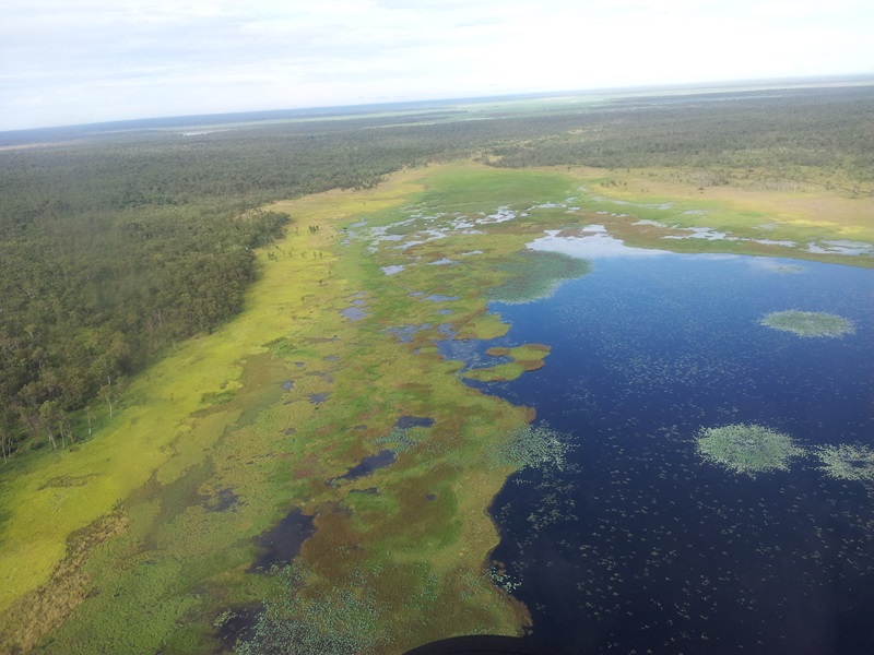 Aerial view of Kakadu wetlands