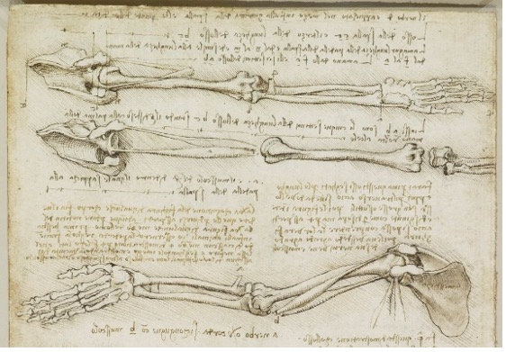 A handrawn anatomical sketch of bones in the arm and hand, surrounded by small, illegible anotations 