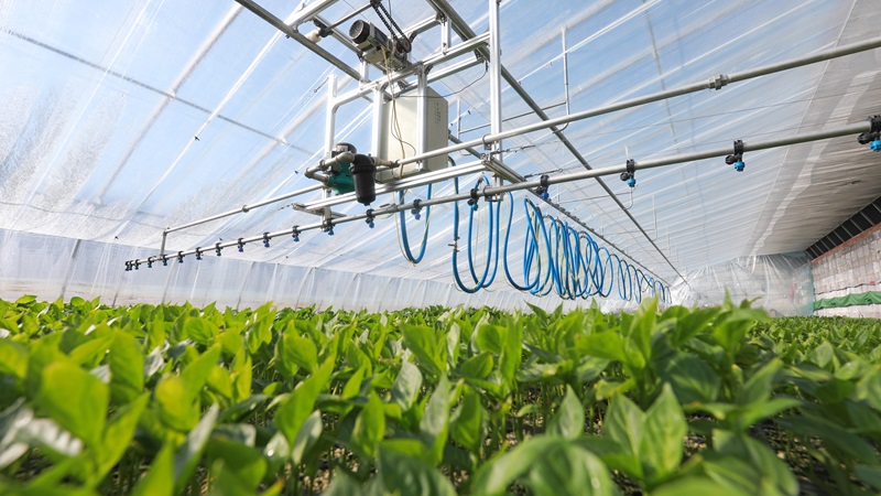 Farming machine and crops. 