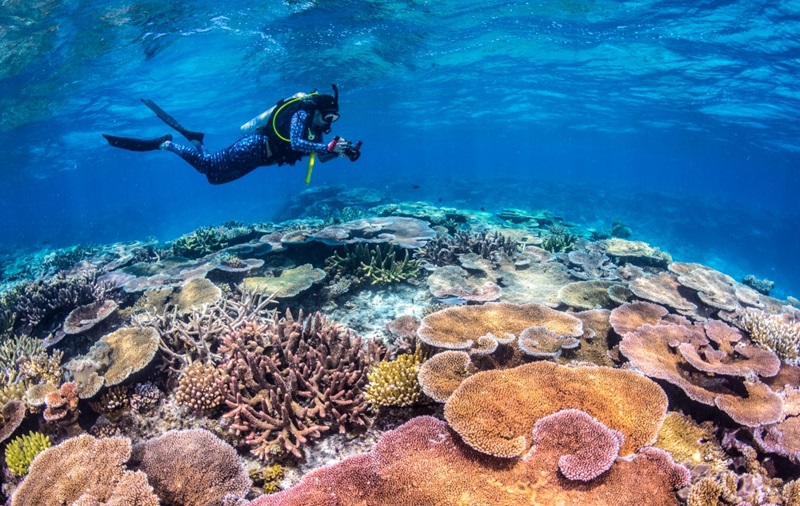 A scuba diver floats above a mass of colourful coral holding an underwater camera