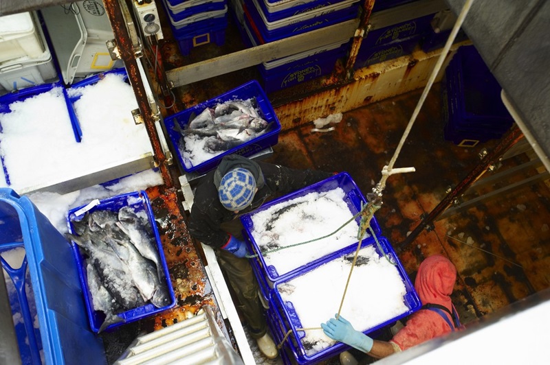 The hold of a fishing trawler.
