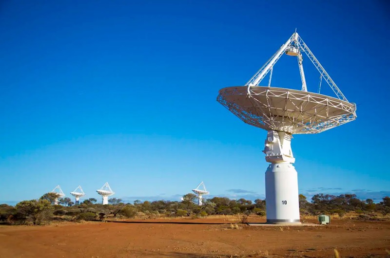 The antennas of ASKAP pointed upward on a sunny day. 
