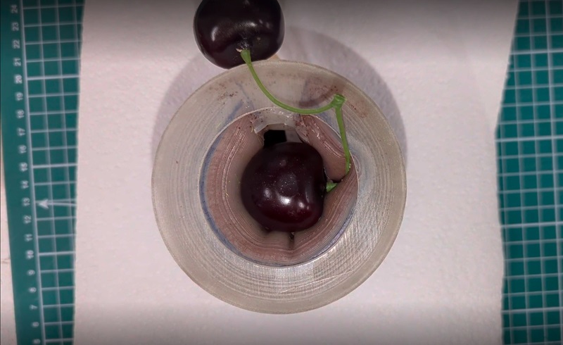 The device is a plastic ring, inside which a tube can be seen inflating to hold the cherry at the centre of the device. 