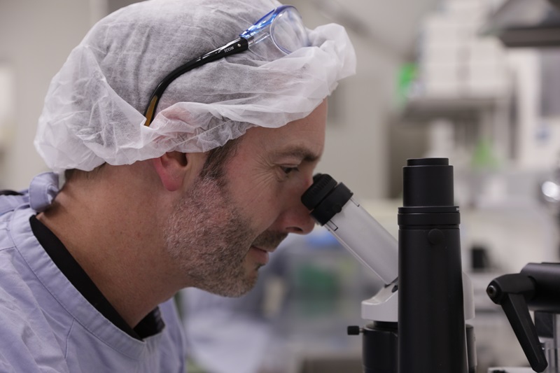 A scientist wearing a hair cap is sitting at a bench looking into the eypiece of a microscope.