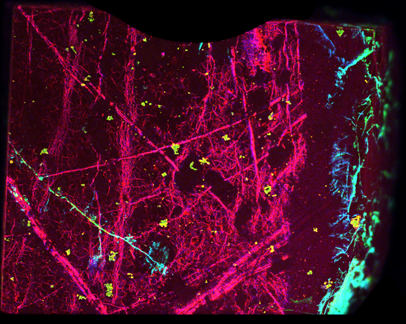 image showing mineral carbonation.