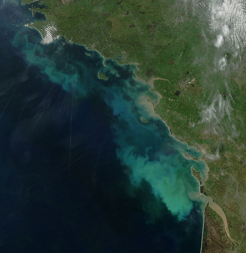 Arial view of ocean. 