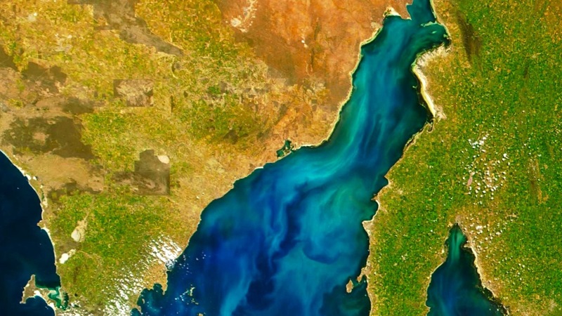 Satellite view of Spencer Gulf in SA shows swirls of light green swirls of algae in the blue water along the gulf, framed by land on either side.