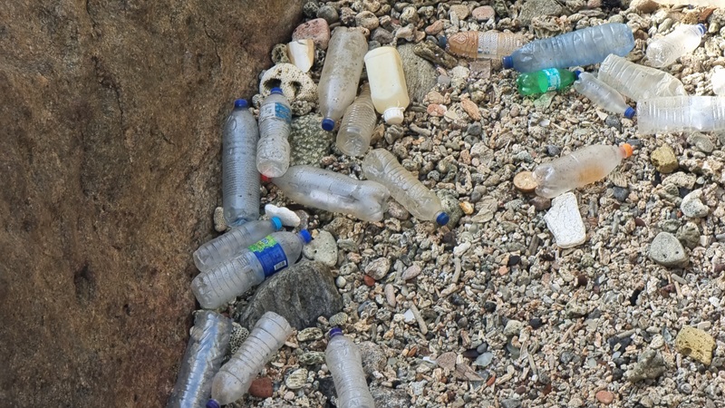 Plastic waste on a beach