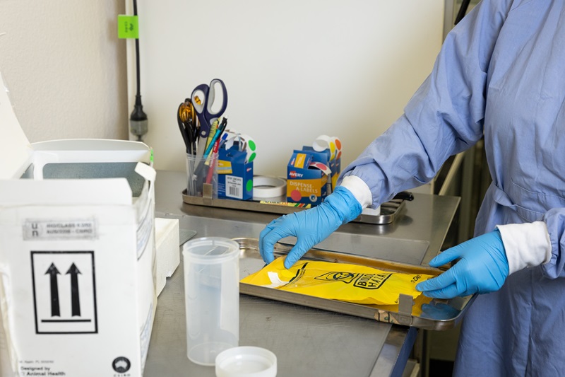 A person wearing a lab coat and gloves is holding a tray which has a plastic envelope containing a sample. The box that the sample was sent in is on the bench beside the tray. 