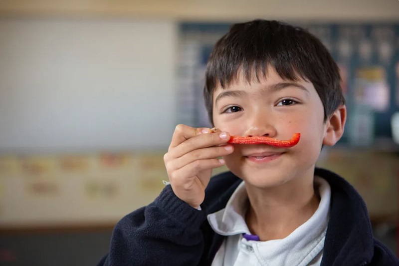 A child raises a long piece of red capsicum to his nose. 