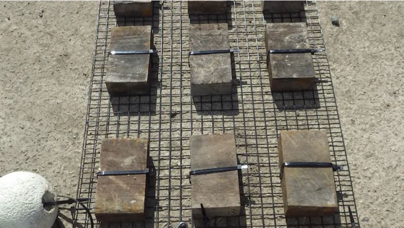 Redgum blocks drying in the sun. 